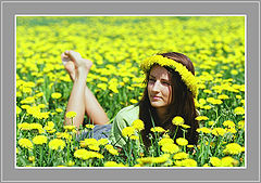 photo "In a captivity of dandelions"