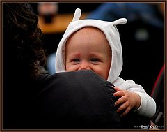 photo "little bandit"