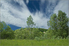 photo "***"