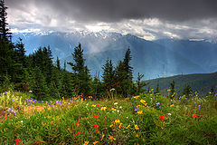 photo "Flowers, mountains, clouds, sunlight..."