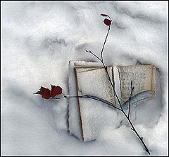photo "Забвение..."