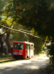 photo "***"
