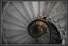 photo "The ammonit of Loondon"
