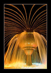photo "Magic cup - 2"