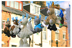 фото "Toys"