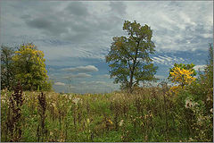 photo "***"