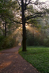 photo "***"