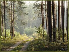 фото "Утро"