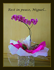 photo "For Miguel...whit love"