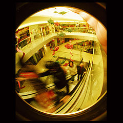 photo "***"