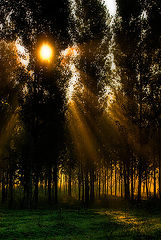 фото "Friday morning"