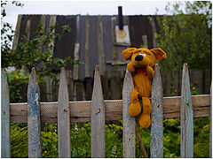 photo "In the village or forgotten toy"