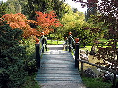 photo "Arboretum"
