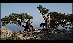 photo "Music of wind"