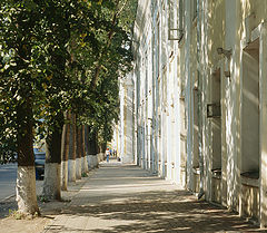 photo "Golden allea"