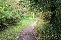 photo "Tte autumn beginning"