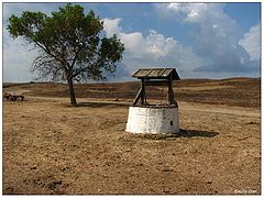 photo "Kuban'"