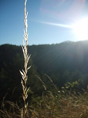photo "Feel the warming sun"