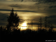 photo "***"