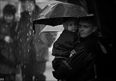 photo "the rain .."