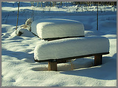 photo "Winter etude"