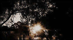фото "Sepia Sunrise"