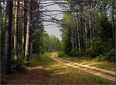 фото "Солнечный перекресток"