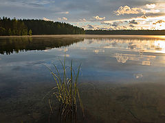 photo "***"