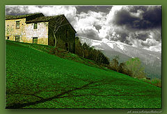 photo "Green and shadow"