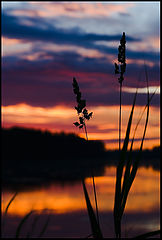 photo "***"