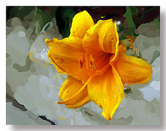photo "***"