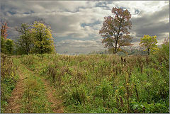 photo "***"