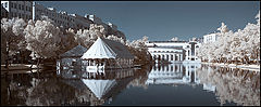 фото "*"