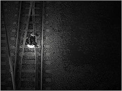 photo "***"