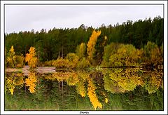 фото "***"