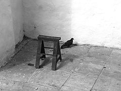 photo "***"
