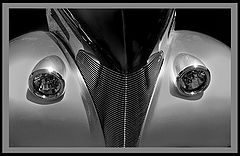 фото "Elegance"