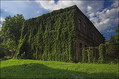 photo "the old green house"