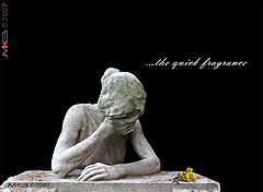 фото "T H E _ Q U I C K _ F R A G R A N C E"