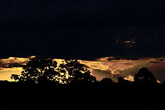 photo "Ink Clouds"
