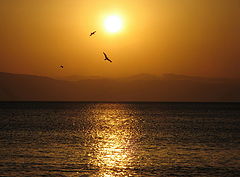 фото "Sunset"
