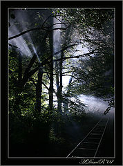photo "***"
