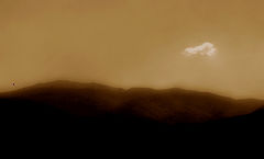 photo "The traveller"