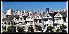фото "Painted Ladies"