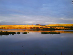 photo "The coast"