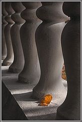 photo "Again the autumn..."