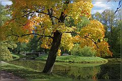 photo "***"