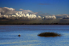 photo "Rain over the city"