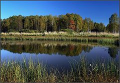 photo "Wood lake"