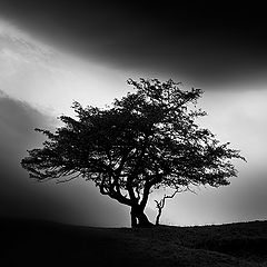 фото "Season"
